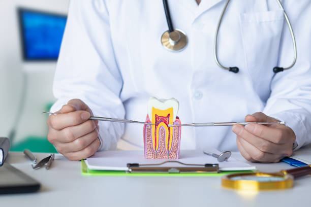 Best Emergency Dentist for Lost Fillings or Crowns in Minoa, NY